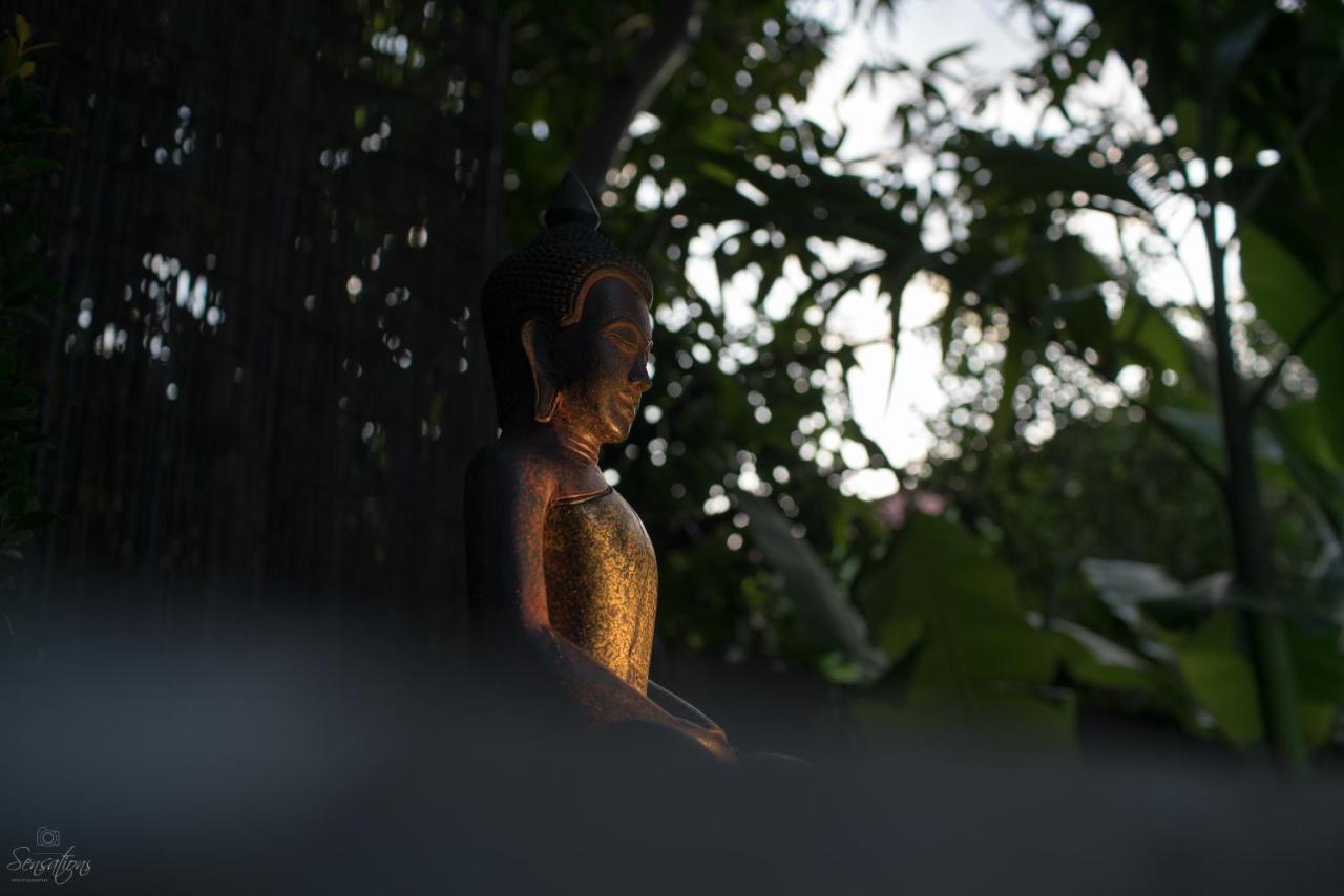 Villa D'Orange Siem Reap Eksteriør billede